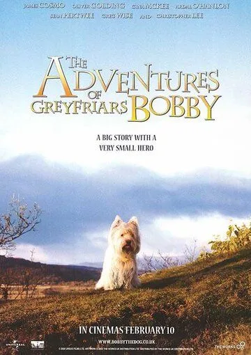 Greyfrays Bobbining Sarguzashtlari / Kichkina Bobby 2005 O'zbek tilida Uzbekcha tas-ix tarjima kino